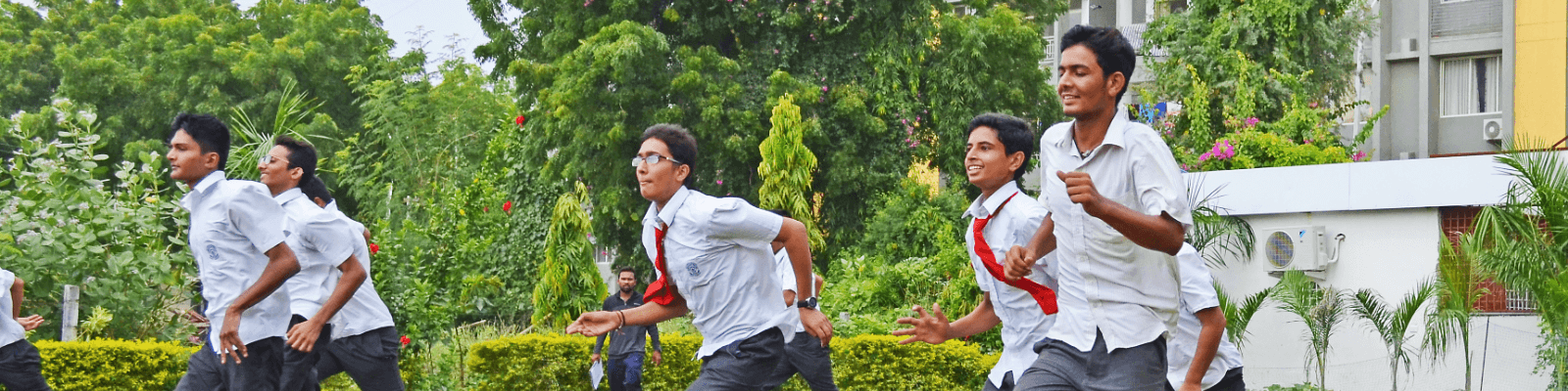 St. Ann's School | Career Form